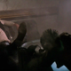 Illustration for article titled Chewbacca Has More Proof Han Shot First, as If You Needed It